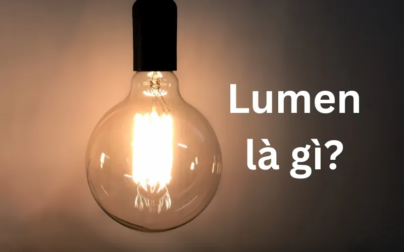 Lumen - Một Khái Niệm Quan Trọng Trong Ánh Sáng